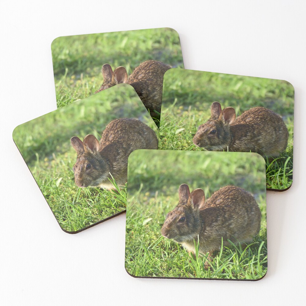 Item preview, Coasters (Set of 4) designed and sold by MercerImages.