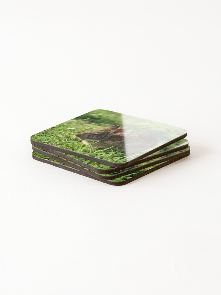 Thumbnail 4 of 5, Coasters (Set of 4), Cottontail Rabbit designed and sold by MercerImages.