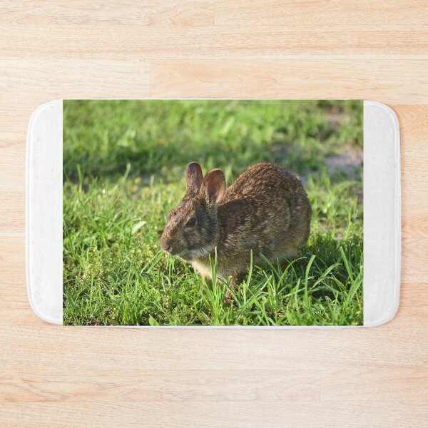 Item preview, Cottontail Rabbit  designed and sold by MercerImages.