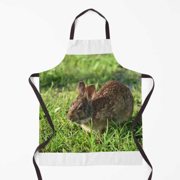 Item preview, Cottontail Rabbit designed and sold by MercerImages.