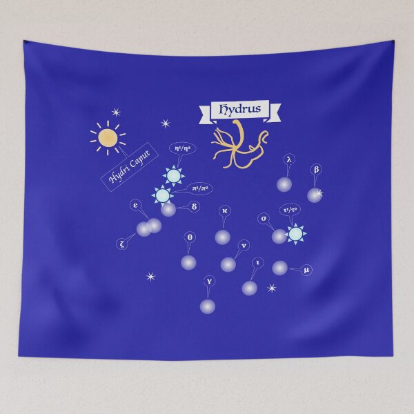 Item preview, HYDRUS — Constellation of the male Hydra designed and sold by RoseMayBox.