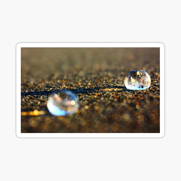 Item preview, Hatching II. San Francisco, Lincoln Park Beach designed and sold by Igor Pozdnyakov.