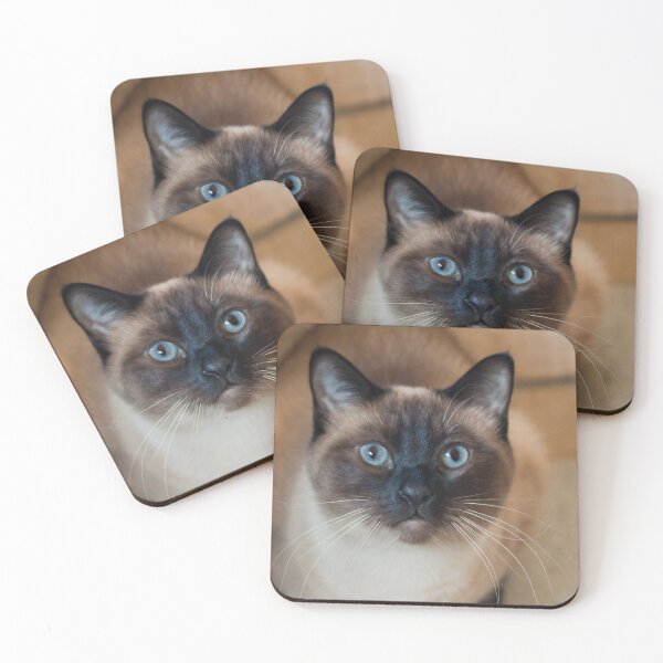 Tazoo Coasters (Set of 4)