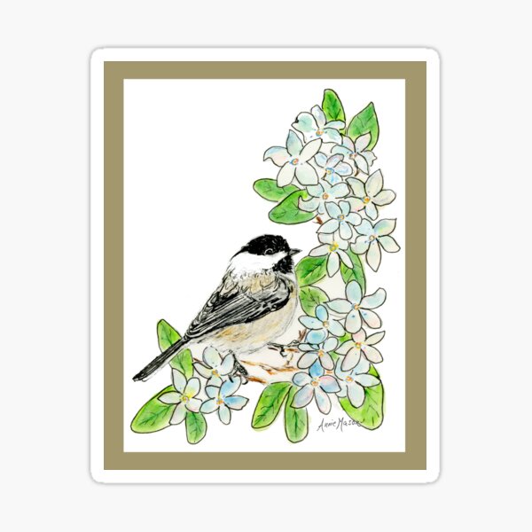 Massachusetts - state bird and flower Sticker