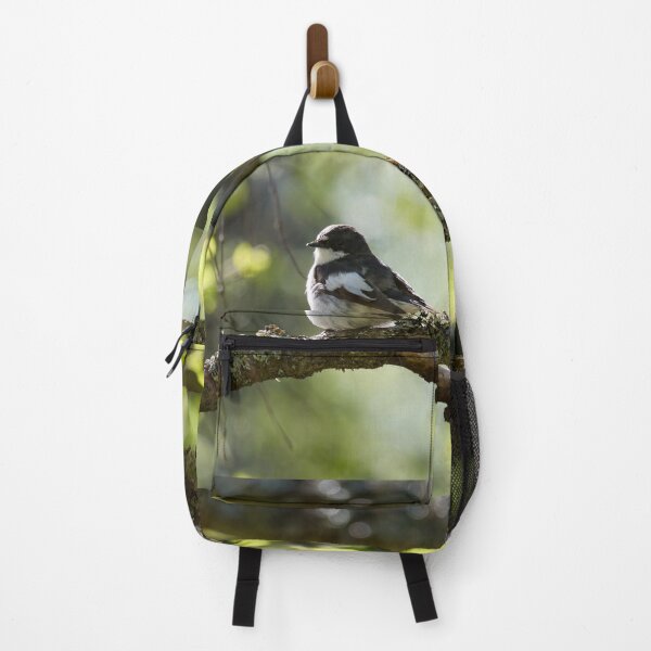 Item preview, When the summer comes. European pied flycatcher designed and sold by Jouko Lehto Photography.