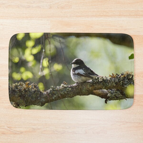 Item preview, When the summer comes. European pied flycatcher designed and sold by Jouko Lehto Photography.