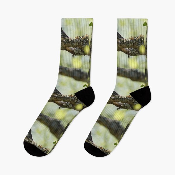 Item preview, When the summer comes. European pied flycatcher designed and sold by Jouko Lehto Photography.