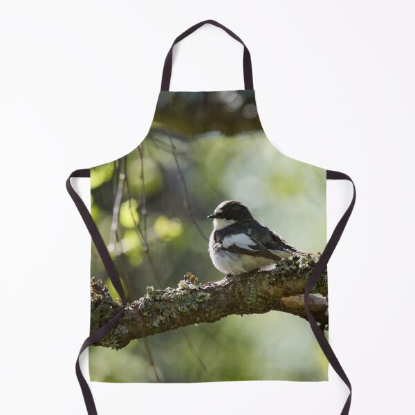 Item preview, When the summer comes. European pied flycatcher designed and sold by Jouko Lehto Photography.