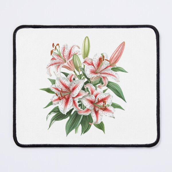 Item preview, Stargazer Lily Watercolor  designed and sold by AchaRat.