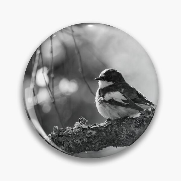 Item preview, When the summer comes. European pied flycatcher bw designed and sold by Jouko Lehto Photography.