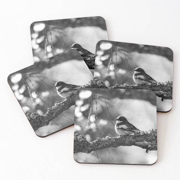 Item preview, When the summer comes. European pied flycatcher bw designed and sold by Jouko Lehto Photography.