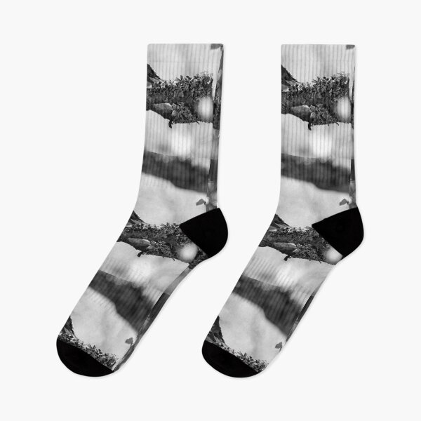 Item preview, When the summer comes. European pied flycatcher bw designed and sold by Jouko Lehto Photography.