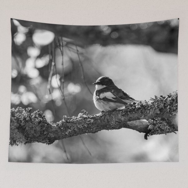 Item preview, When the summer comes. European pied flycatcher bw designed and sold by Jouko Lehto Photography.