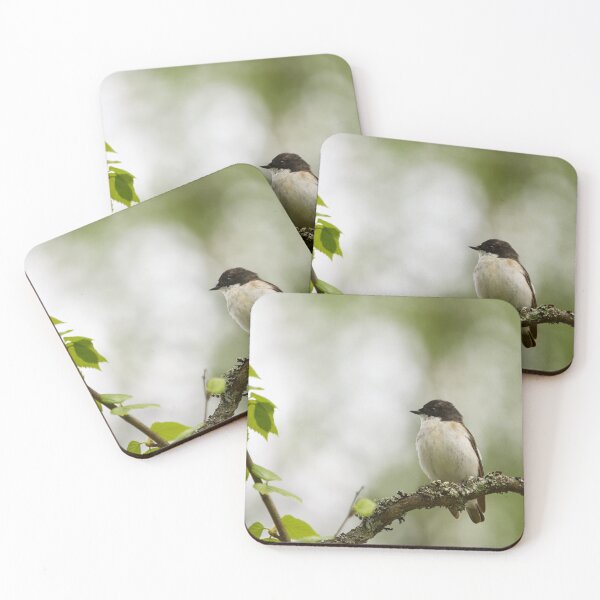 Item preview, Whatchplace. European pied flycatcher designed and sold by Jouko Lehto Photography.