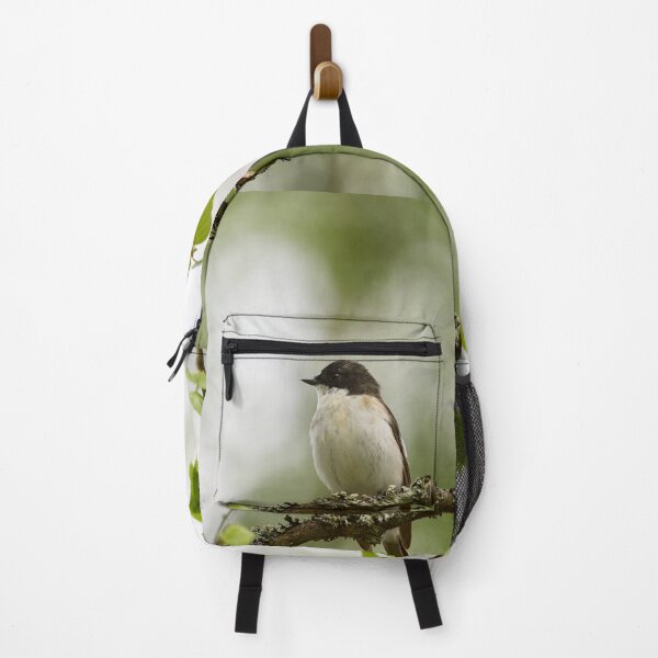 Item preview, Whatchplace. European pied flycatcher designed and sold by Jouko Lehto Photography.