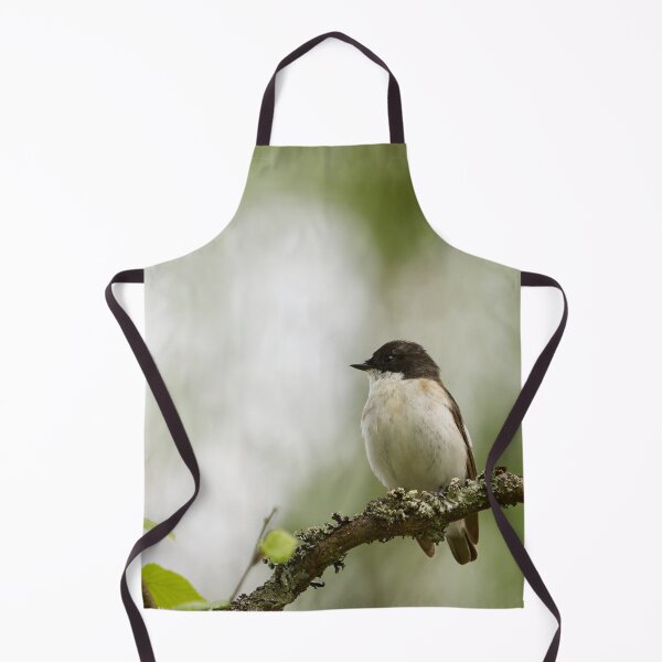 Item preview, Whatchplace. European pied flycatcher designed and sold by Jouko Lehto Photography.