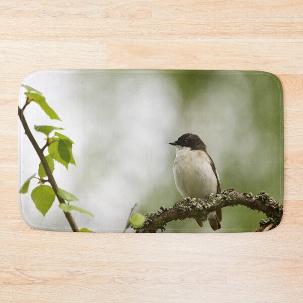 Item preview, Whatchplace. European pied flycatcher designed and sold by Jouko Lehto Photography.