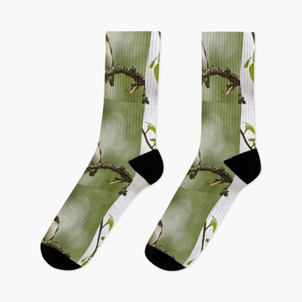 Item preview, Whatchplace. European pied flycatcher designed and sold by Jouko Lehto Photography.
