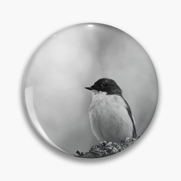 Item preview, Whatchplace. European pied flycatcher bw designed and sold by Jouko Lehto Photography.