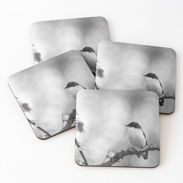 Item preview, Whatchplace. European pied flycatcher bw designed and sold by Jouko Lehto Photography.