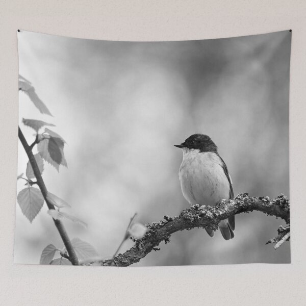 Item preview, Whatchplace. European pied flycatcher bw designed and sold by Jouko Lehto Photography.