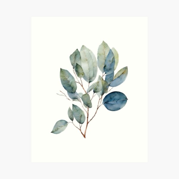 Vista previa del artículo con la obra «El eucalipto verde azulado acuarela deja una elegante vegetación botánica», diseñado y vendido por hollycooper.
