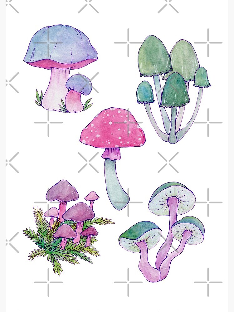 Mushroom Envelopes. Forest, Fungus Theme. Cute Card. Little Mushrooms. Watercolor  Card. Illustration. 