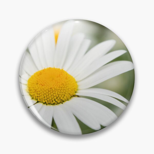 Item preview, Daisy designed and sold by JEZ22.