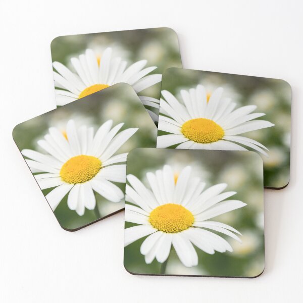 Item preview, Daisy designed and sold by JEZ22.