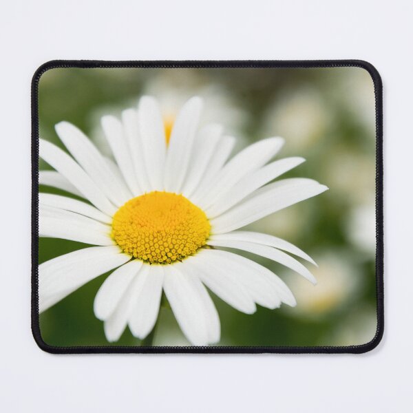 Item preview, Daisy designed and sold by JEZ22.