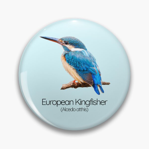 Item preview, European Kingfisher – The Sapphire Bullet of the Rivers designed and sold by The Digital Compass.