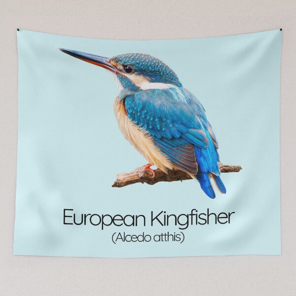 Item preview, European Kingfisher – The Sapphire Bullet of the Rivers designed and sold by The Digital Compass.