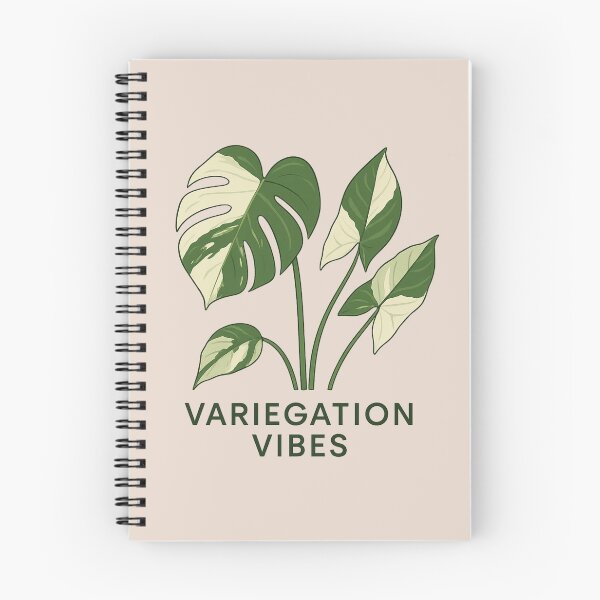 Item preview, Variegation Vibes – Minimalist Variegated Monstera designed and sold by Planthem.