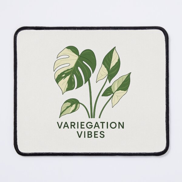 Item preview, Variegation Vibes – Minimalist Variegated Monstera designed and sold by Planthem.
