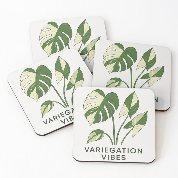 Item preview, Variegation Vibes – Minimalist Variegated Monstera designed and sold by Planthem.