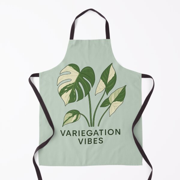 Item preview, Variegation Vibes – Minimalist Variegated Monstera designed and sold by Planthem.