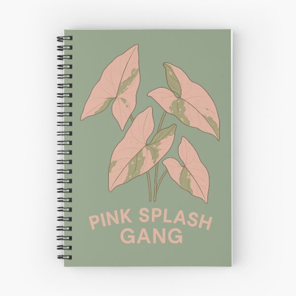Item preview, Pink Splash Gang – Syngonium Pink Variegated designed and sold by Planthem.