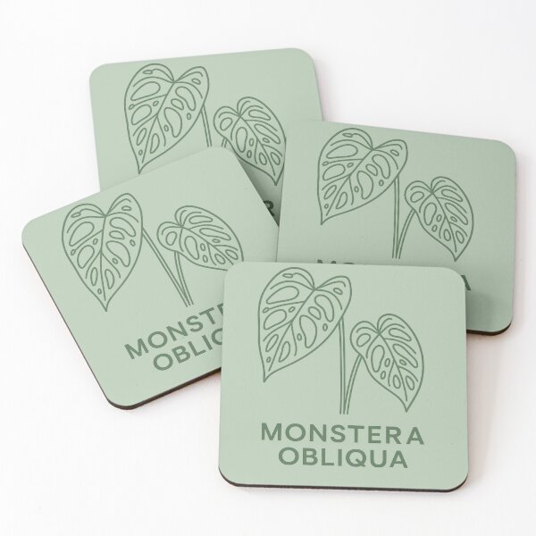 Item preview, Monstera Obliqua designed and sold by Planthem.