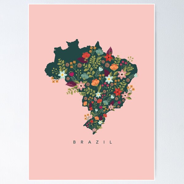  BRASIL  Vintage Retro Brazilian Colors Travel Brazil