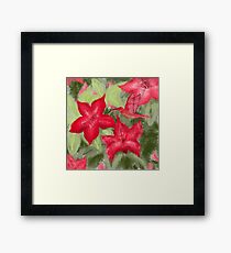 Red flowers and hummingbird print Framed Print