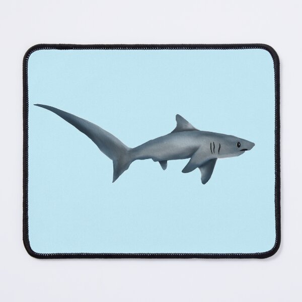 Item preview, Thresher Shark designed and sold by bell4mari3.