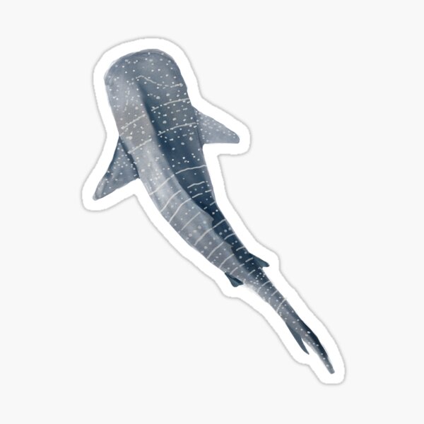 Item preview, Whale Shark  designed and sold by bell4mari3.
