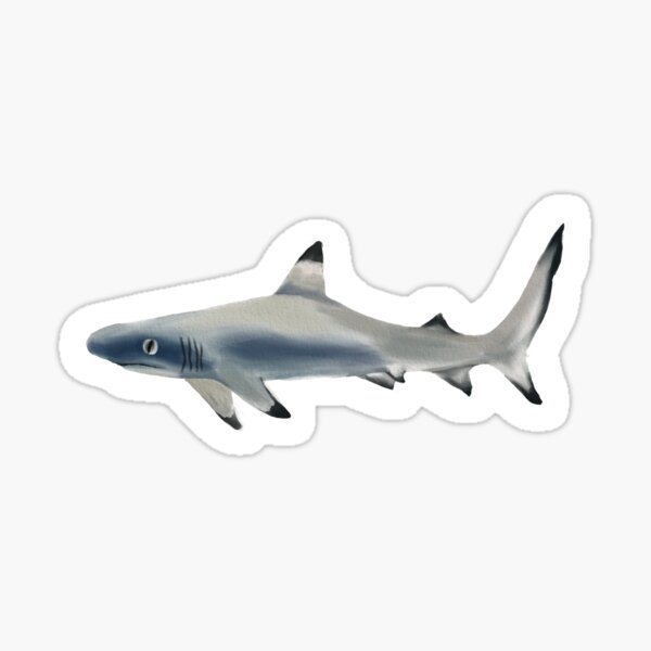 Item preview, Black tip Reef Shark  designed and sold by bell4mari3.