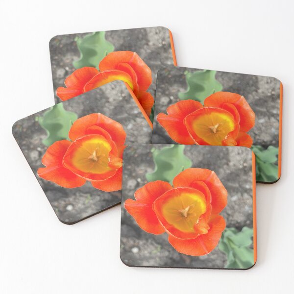 Item preview, Tulip Season designed and sold by Lana Magnolia.