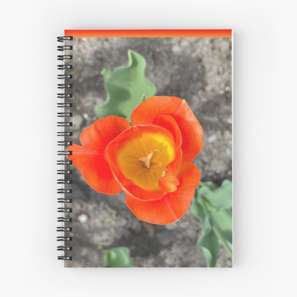 Item preview, Tulip Season designed and sold by Lana Magnolia.