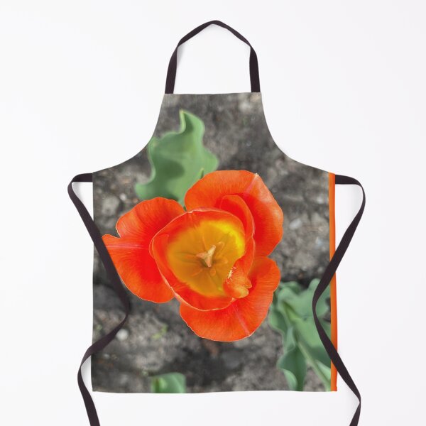 Item preview, Tulip Season designed and sold by Lana Magnolia.