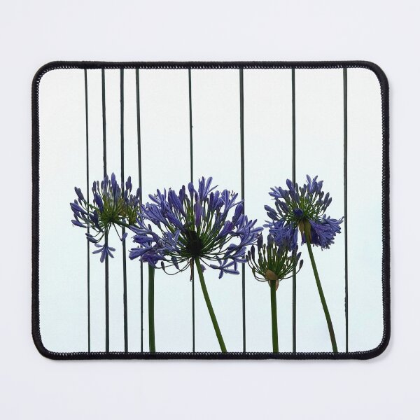 Item preview, Vibrant Purple Flowers & Iron Gate Photograph designed and sold by KCMagrath.