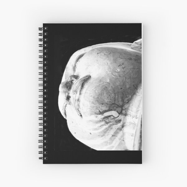 Weathered Stone Buddha Photograph Spiral Notebook