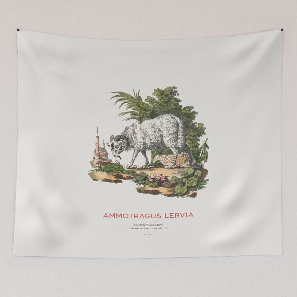 Item preview, The Barbary sheep or Ammotragus lervia designed and sold by Vintagrafica.
