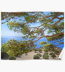 Sea View Poster